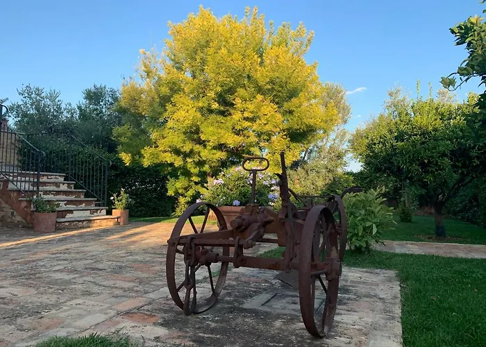 Mimosa Дом отдыха Рипа-Театина